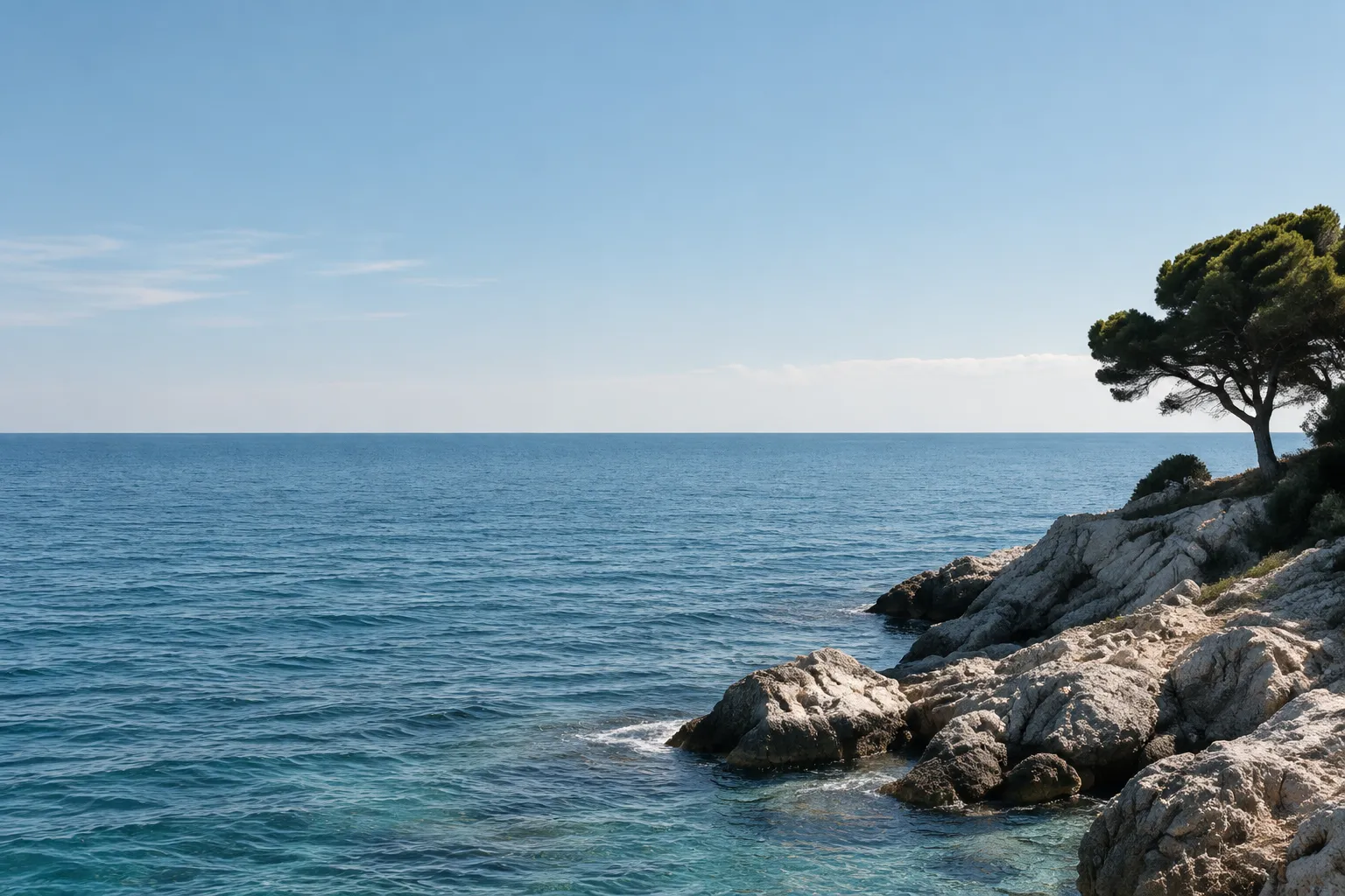 Un pino su una costa rocciosa affacciata sul Mediterraneo.